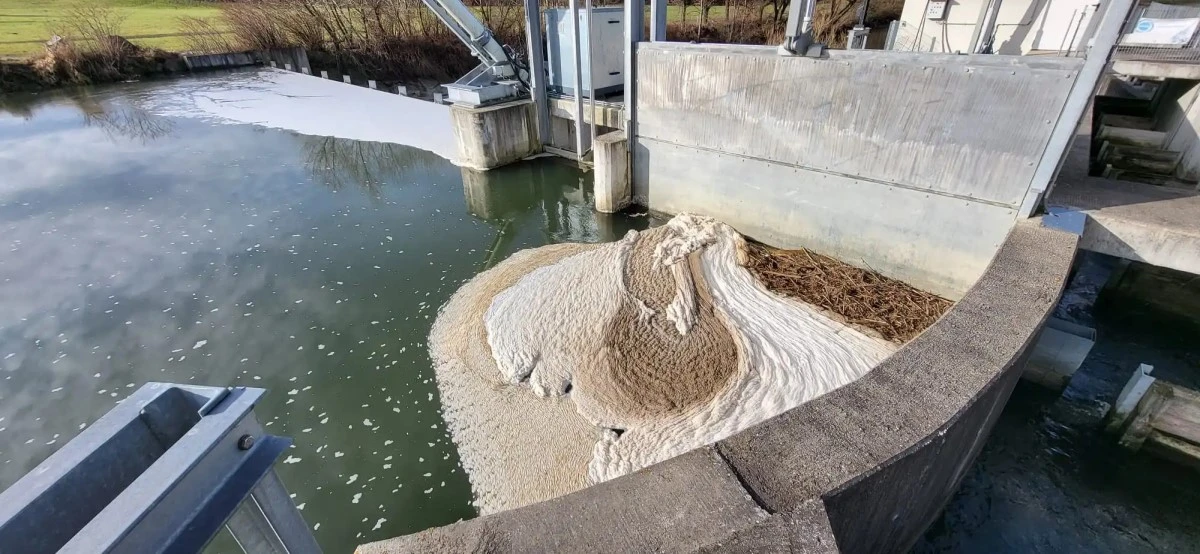 Gewässerverschmutzung Antiesen